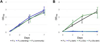 The survivor strain: isolation and characterization of Phormidium yuhuli AB48, a filamentous phototactic cyanobacterium with biotechnological potential